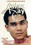 Asian Gay (Sexystore)