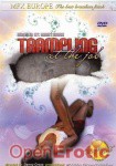 Trampling at the job (MFX Europe - brazilian)