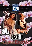 Black Orchid (Herzog)