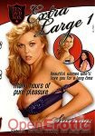 Extra Large 1 - 10 DVD Box (Shots Media)