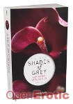 Shades of Grey - Geheimes Verlangen (Goldmann - Buch / Roman)