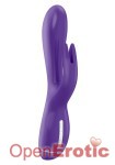 K3 Rabbit - Purple (OVO)