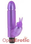 Jelly Gems No 13 - Rabbit Vibe - Purple (Pipedream)