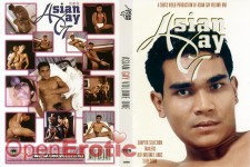 Asian Gay 
