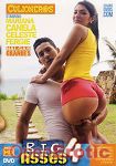 Big Asses Vol. 4 (BangBros - Culioneros)