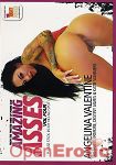 Amazing Asses Vol. 4 (Immoral Productions)