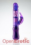 Rabbit Sensation Purple Edition (Scala)