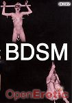 BDSM (Horny Heaven)