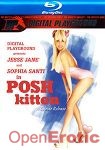 Posh Kitten (Digital Playground - Blu ray Disc)