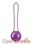 Pleasure Ball Deluxe Purple Single (Shots Toys)