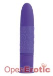 10 Function Pocket Teaser - Purple (California Exotic Novelties - Posh)