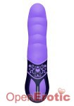 Design for Climax Vibe 5 Zoll - Purple (NMC)