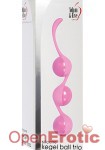 Silicone Kegel Ball Trio (Adam & Eve)