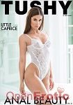 Anal Beauty Vol. 10 (Jules Jordan Video - Tushy)