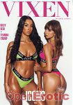 Icons Vol. 3 (Jules Jordan Video - Vixen)