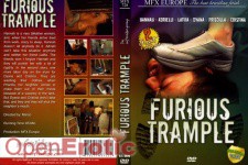 Furious Trample 